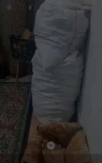 نان خشک تمیز