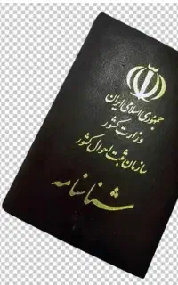 شناسنامه گمشده سمیه داوری