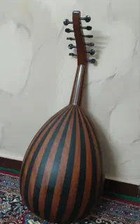 عود ترکی