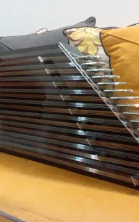 سنتور زنده یاد استاد داریوش سالاری