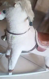 اسب راکر