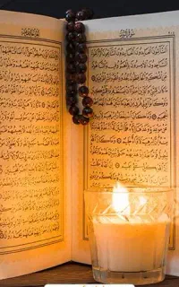 سرکتاب برگشت مع
