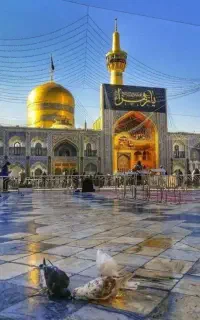 تور وکاروان زیارتی