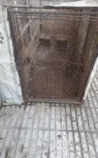 قفس بزرگ