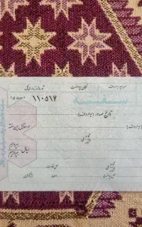 سفته خام