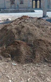 کود پشکل خالص گوسفندی