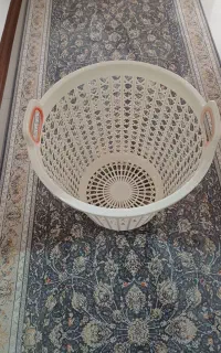 سبد نو