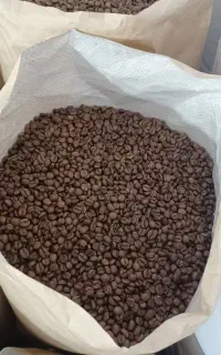 پخش عمده دان قهوه