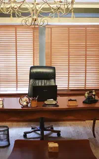 وکیل دادگستری