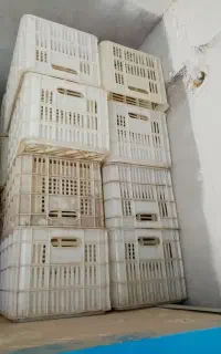 سبد پلاستیکی