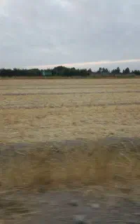 نیازمند کارگر خانم و اقا پسر بچه ۱۵ به بالا