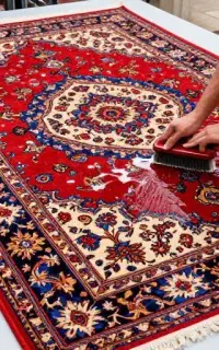 قالیشویی مبل شویی رفوگری ریشه شیرازه