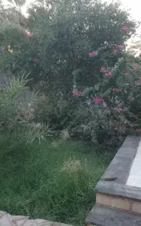 خانه ویلایی اجاره آزادی