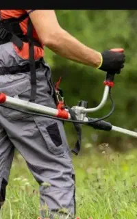باغبانی وفضای سبز
