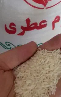 تنها نمایندگی برنج سرای مازندشت در کاشمر