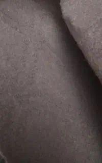 موکت نرمینه پالاز