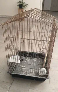 قفس بزرگ کاسکو و طوطی