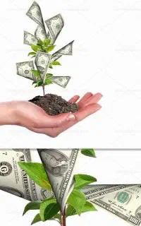سرمایه گذار و شراکت