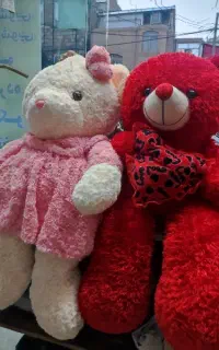 خشکشویی و مبلشویی نوین پاک