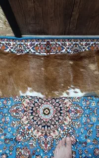 پوست گوساله