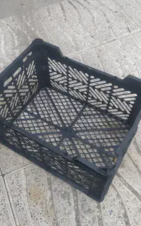 سبد میوه