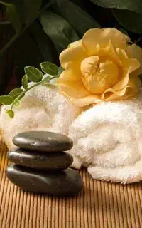 مربی ماساژ ماساژ حرفه ای متد تخصصی