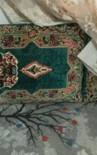 یک جفت پشتی