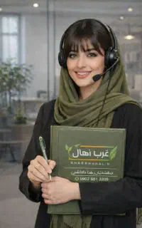 فروش نهال انجیر صنوبر پسته بادام انگور گردو گلدانی