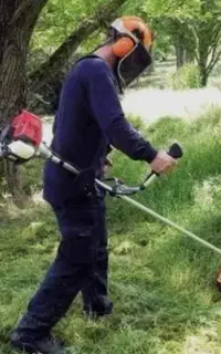 هرس کردن و شخم زنی.سم پاشی