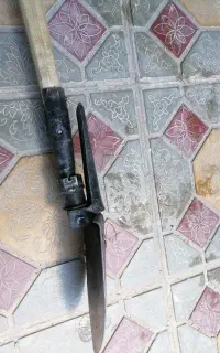 بیل چه