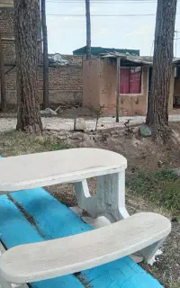 کافه رستوران ماه بانو