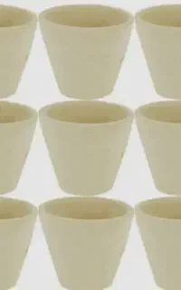 گلدون ساختمونی