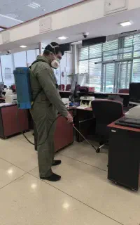 سمپاشی موریانه، موش سوسک، ساس،مارمولک اصولی تضمینی