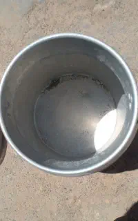 دبع شیری
