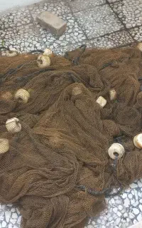 طور ماهی گیری