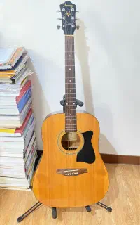 گیتار اکوستیک آیبانز ibanez