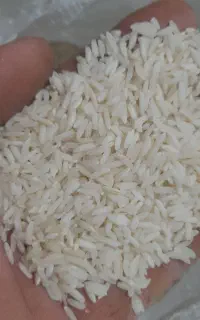 برنج علی کاظمی