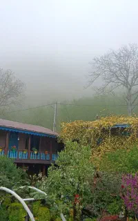 استخدام نیروی کار در اقامتگاه