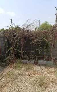 منزل مسکونی
