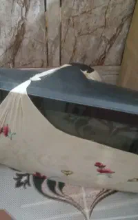 تلویزیون