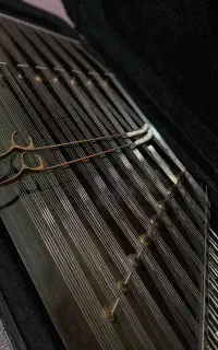 سنتور سل تمام گردو