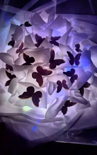 پروانه های جاویدان
