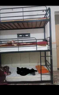 سه ظبقه