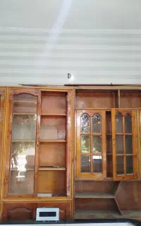 جاندارم تمیز است