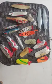 طعمه ماهیگیری