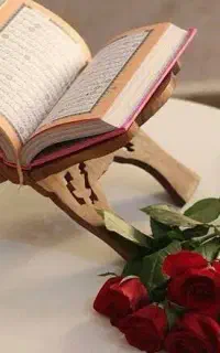 ف.ا.ل سرکتاب شمع تراپی