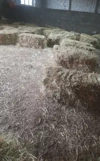 پرس یونجه دانه ای ۲۲۰تومان