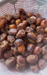 خرمابریانی و رطب برحی