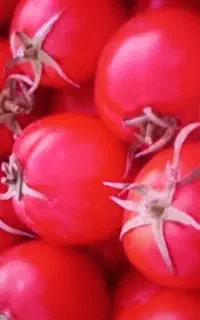 گوجه