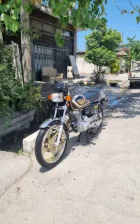 نیکتاز ۲۰۰ شال طلا